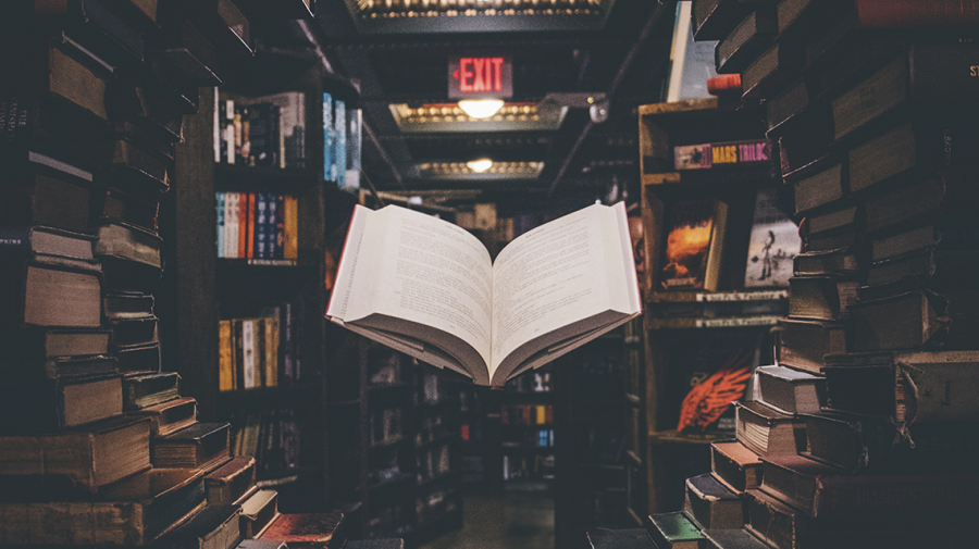 A imagem visa ilustrar o livro como elemento principal da postagem. Enfim, 2020.