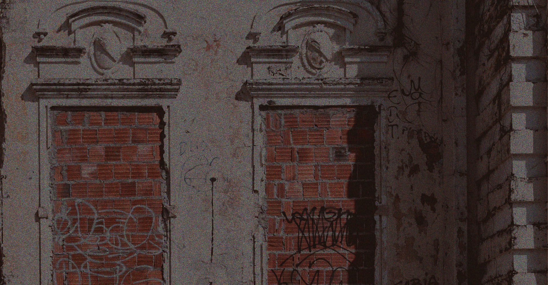 aranha movedica banner